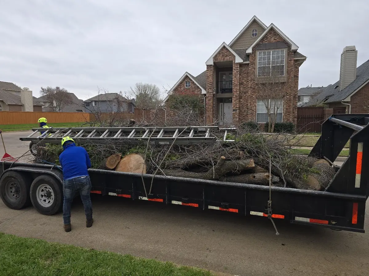 Expert Lot Clearing with proper safety equipment in Oneida